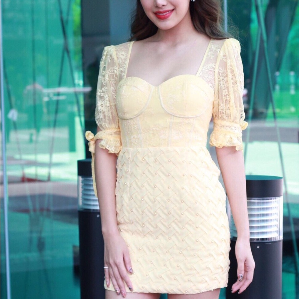 NWT Bodycon Lace Dress